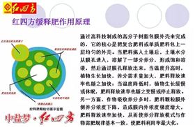 万万没想到,他们才是红四方三大新品肥的幕后专家_媒体报道