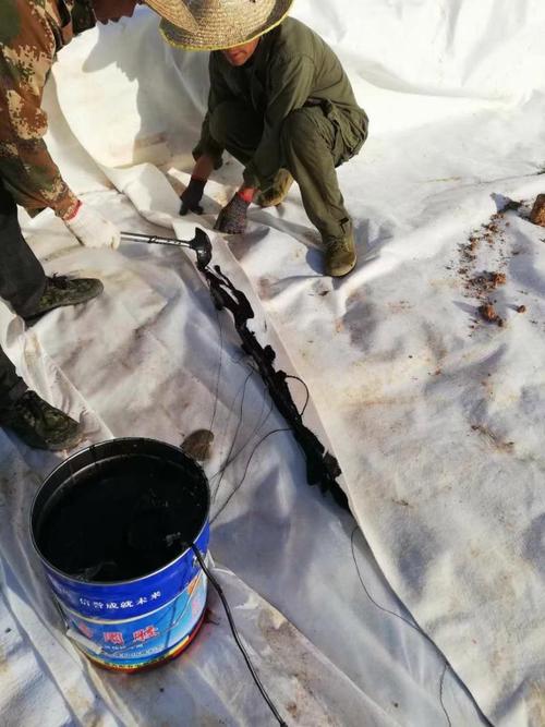 土工材料土工膜防渗膜复合土工膜防渗专用胶厂家直销